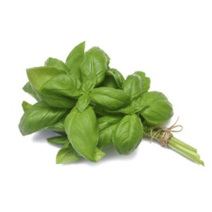 132 Basilicum