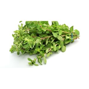 140 Marjolein