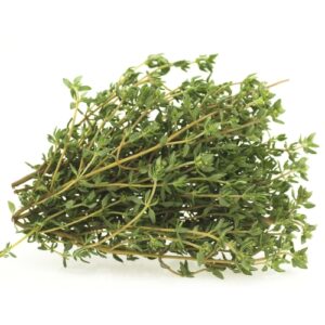 Fresh Thyme on white background Tijm