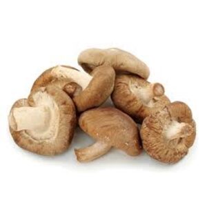 155 Shitake