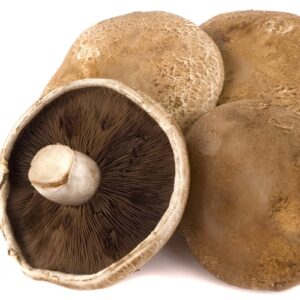 Organic portobello mushrooms Porto bello
