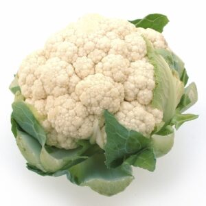 19 Hollandse bloemkool