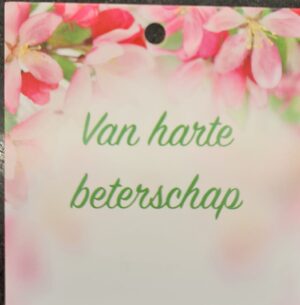 1F15176D-C69D-4E8C-A504-863325248C63 Beterschap kaartje