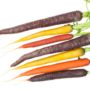 2 Gekleurde winterpeen