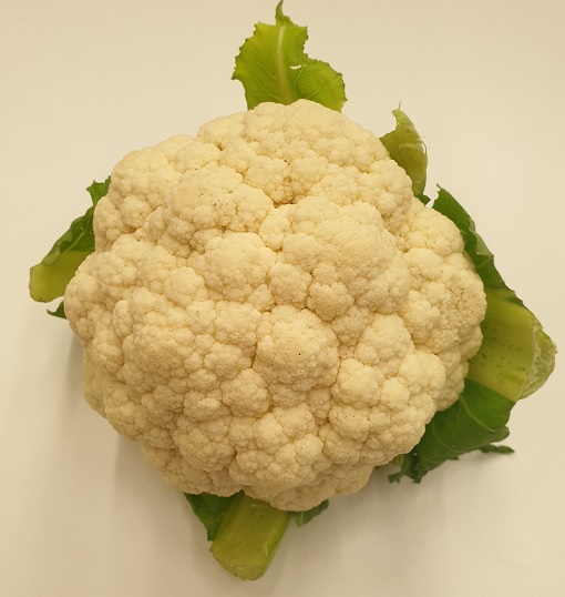 20-1 Hollands kas bloemkool