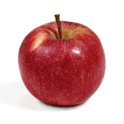 red apple isolated on white Elstar (aanbieding 3 kilo)