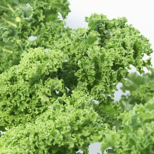 23 Boerenkool stronk