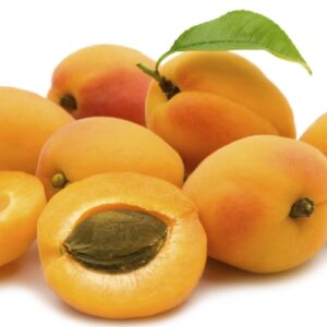 slice apricot on white background Abrikozen