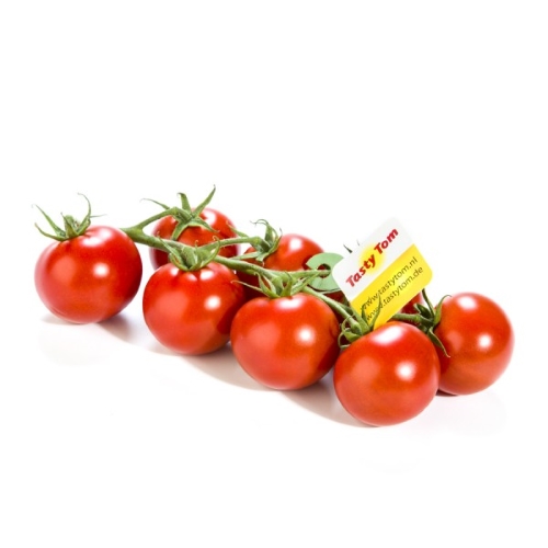 310 Tasty Tom tomaten