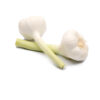 47.jpg Verse knoflook