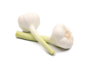 47.jpg Verse knoflook