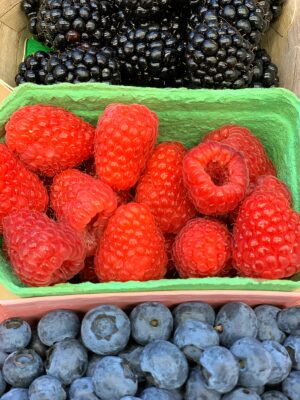 91A4136B-5DBC-41EE-AF2A-593FE3A554B9 Hollands zacht fruit