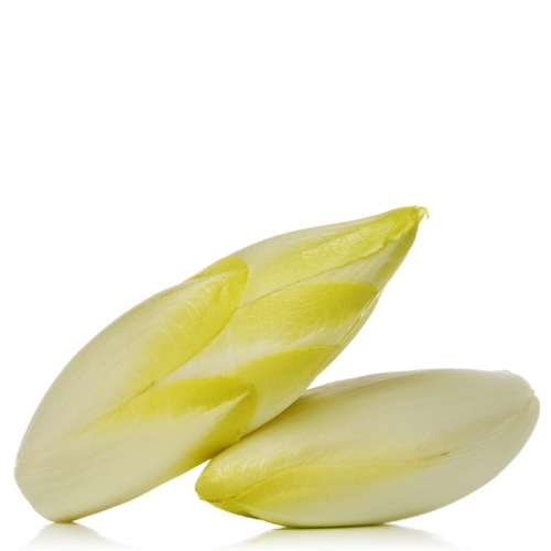 fresh endives over white background Witlof