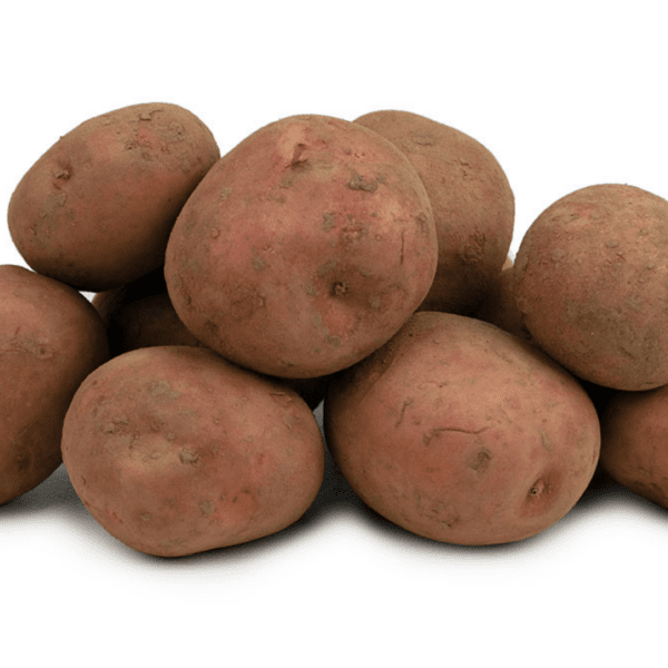 Bildstar Bildstar 5 kilo