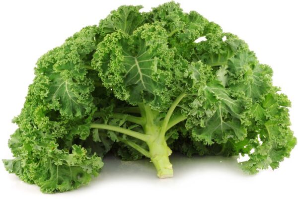 Boerenkool-2-S-D-698-1 Boerenkool stronk