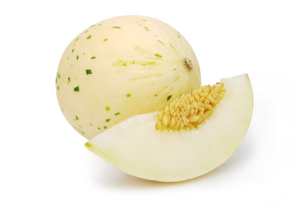 IMG_1874 Dino meloen